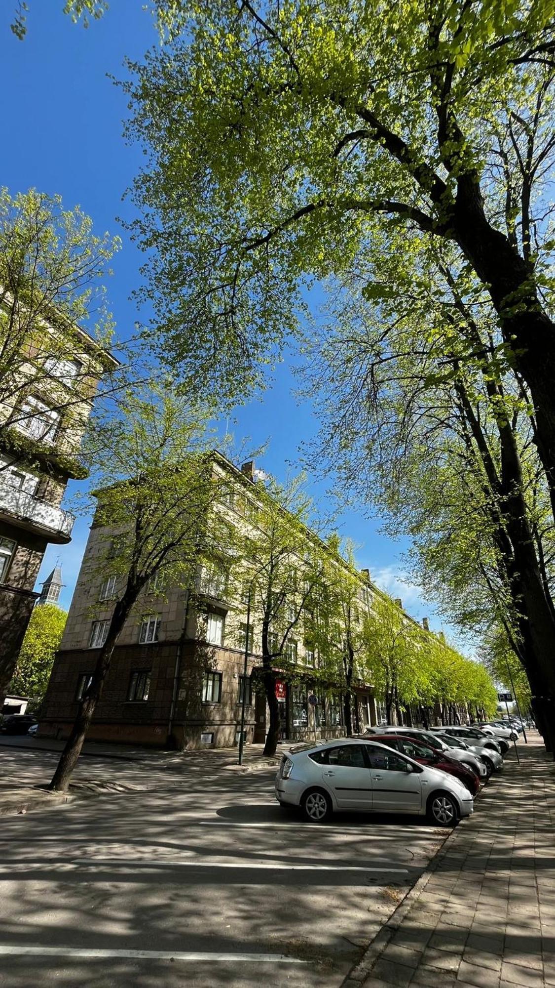 Heritage House Dane Apartment Klaipeda Ngoại thất bức ảnh